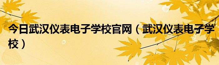 今日武汉仪表电子学校官网（武汉仪表电子学校）