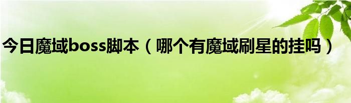 今日魔域boss脚本（哪个有魔域刷星的挂吗）