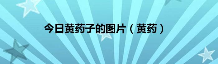 今日黄药子的图片（黄药）