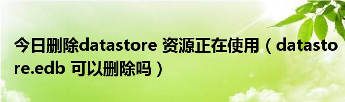 今日删除datastore 资源正在使用（datastore.edb 可以删除吗）