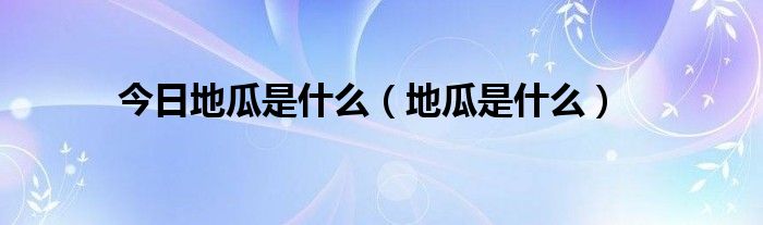 今日地瓜是什么（地瓜是什么）