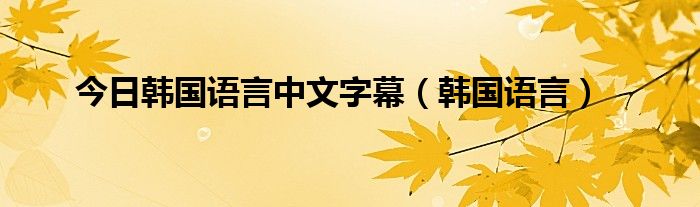 今日韩国语言中文字幕（韩国语言）