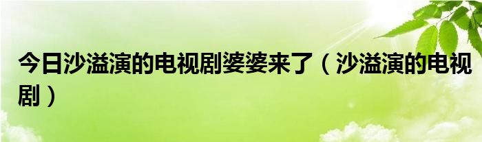 今日沙溢演的电视剧婆婆来了（沙溢演的电视剧）