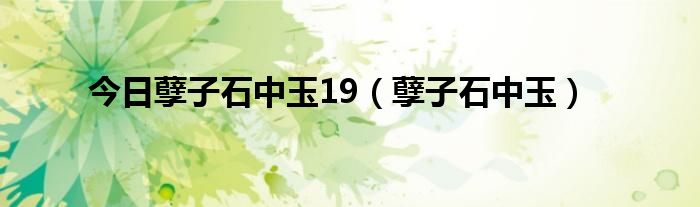 今日孽子石中玉19（孽子石中玉）