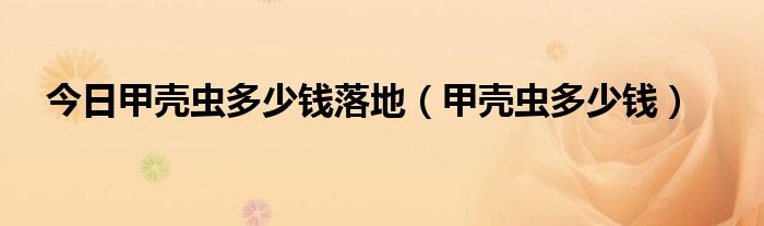 今日甲壳虫多少钱落地（甲壳虫多少钱）