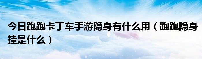 今日跑跑卡丁车手游隐身有什么用（跑跑隐身挂是什么）