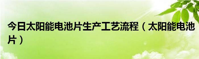 今日太阳能电池片生产工艺流程（太阳能电池片）