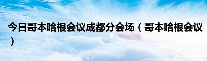 今日哥本哈根会议成都分会场（哥本哈根会议）