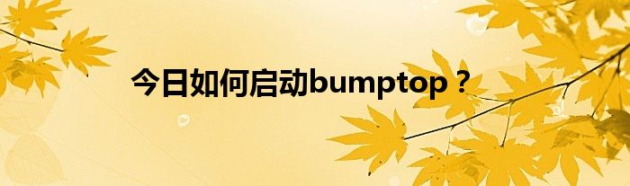 今日如何启动bumptop？