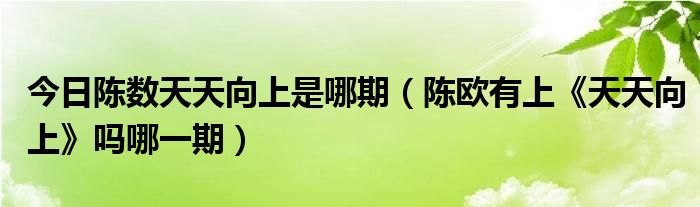 今日陈数天天向上是哪期（陈欧有上《天天向上》吗哪一期）