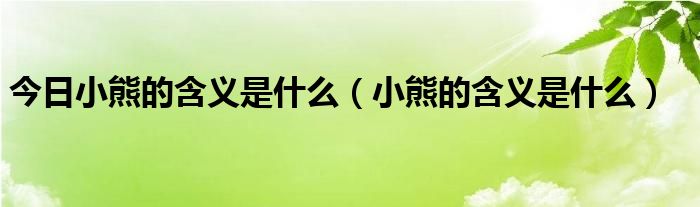 今日小熊的含义是什么（小熊的含义是什么）