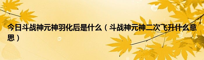 今日斗战神元神羽化后是什么（斗战神元神二次飞升什么意思）