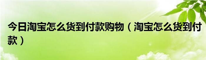 今日淘宝怎么货到付款购物（淘宝怎么货到付款）