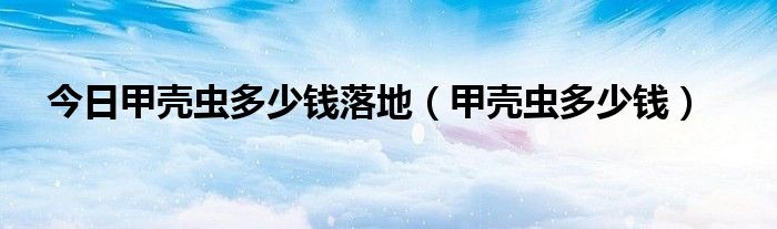 今日甲壳虫多少钱落地（甲壳虫多少钱）