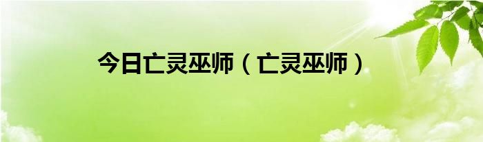 今日亡灵巫师（亡灵巫师）