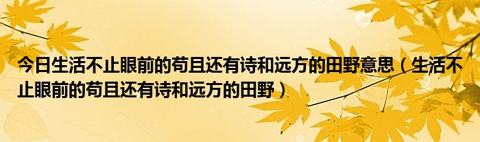 今日生活不止眼前的苟且还有诗和远方的田野意思（生活不止眼前的苟且还有诗和远方的田野）