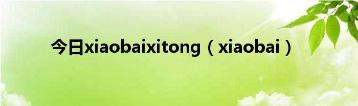 今日xiaobaixitong（xiaobai）