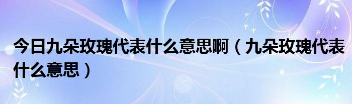 今日九朵玫瑰代表什么意思啊（九朵玫瑰代表什么意思）