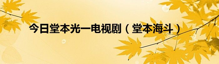 今日堂本光一电视剧（堂本海斗）