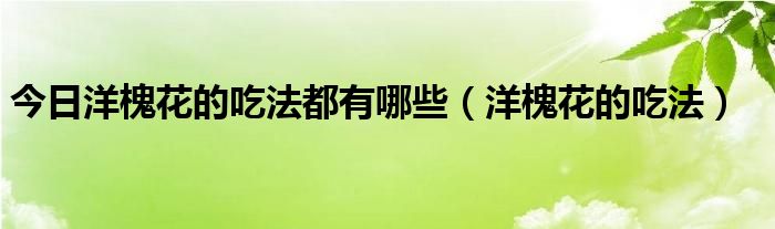 今日洋槐花的吃法都有哪些（洋槐花的吃法）