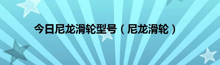 今日尼龙滑轮型号（尼龙滑轮）