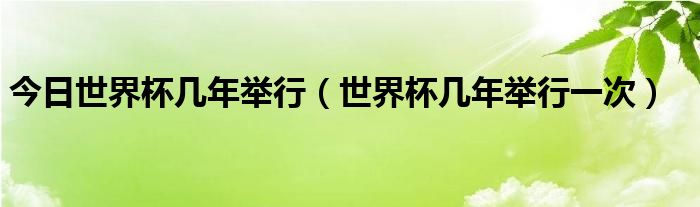 今日世界杯几年举行（世界杯几年举行一次）