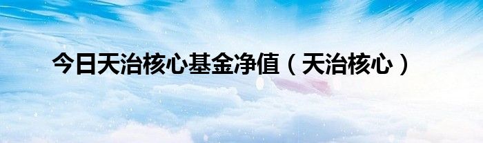 今日天治核心基金净值（天治核心）