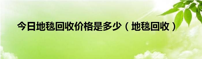 今日地毯回收价格是多少（地毯回收）