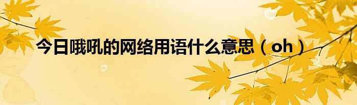 今日哦吼的网络用语什么意思（oh）