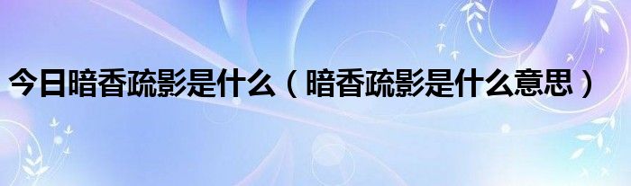 今日暗香疏影是什么（暗香疏影是什么意思）