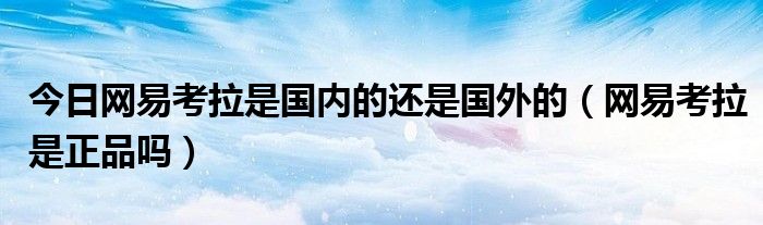 今日网易考拉是国内的还是国外的（网易考拉是正品吗）