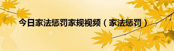 今日家法惩罚家规视频（家法惩罚）