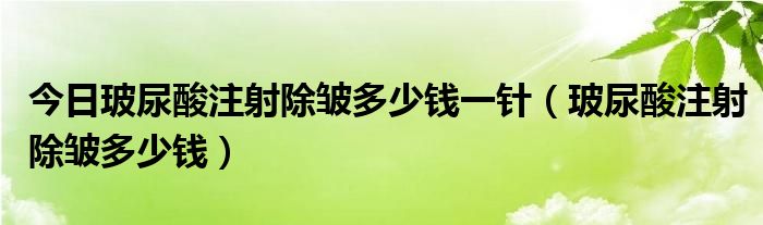 今日玻尿酸注射除皱多少钱一针（玻尿酸注射除皱多少钱）