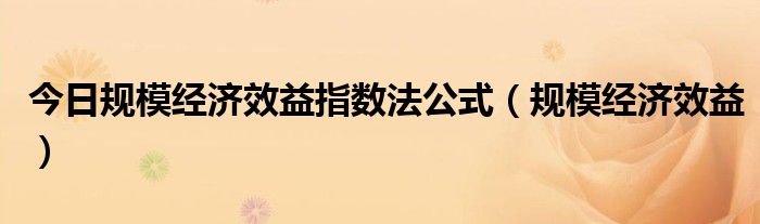 今日规模经济效益指数法公式（规模经济效益）