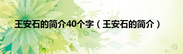 王安石的简介40个字（王安石的简介）