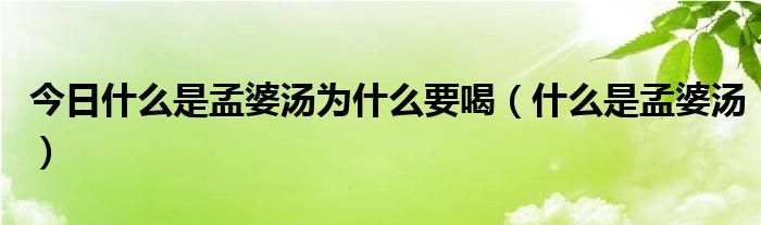 今日什么是孟婆汤为什么要喝（什么是孟婆汤）