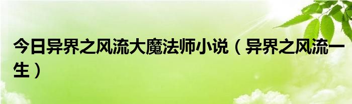 今日异界之风流大魔法师小说（异界之风流一生）