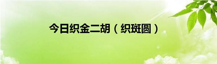 今日织金二胡（织斑圆）