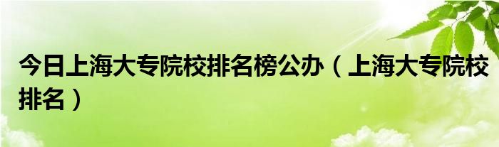 今日上海大专院校排名榜公办（上海大专院校排名）