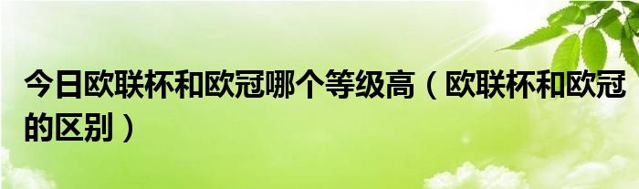 今日欧联杯和欧冠哪个等级高（欧联杯和欧冠的区别）