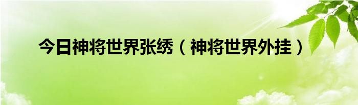 今日神将世界张绣（神将世界外挂）