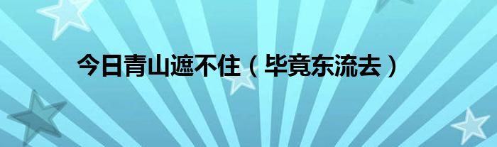 今日青山遮不住（毕竟东流去）