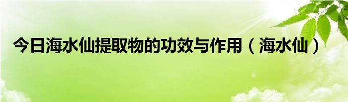 今日海水仙提取物的功效与作用（海水仙）