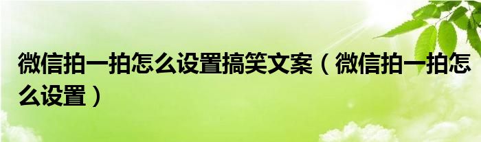 微信拍一拍怎么设置搞笑文案（微信拍一拍怎么设置）