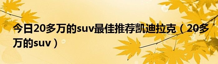 今日20多万的suv最佳推荐凯迪拉克（20多万的suv）