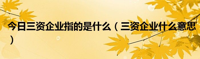 今日三资企业指的是什么（三资企业什么意思）