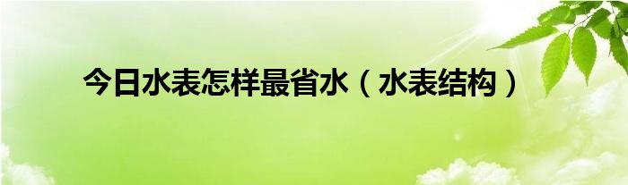 今日水表怎样最省水（水表结构）