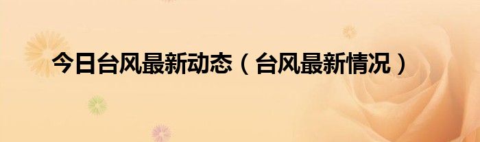 今日台风最新动态（台风最新情况）