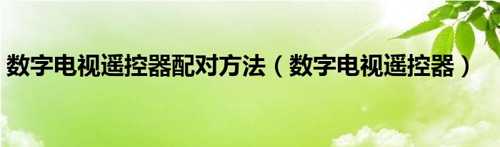 数字电视遥控器配对方法（数字电视遥控器）