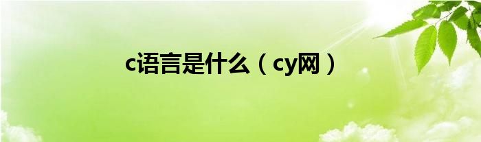 c语言是什么（cy网）